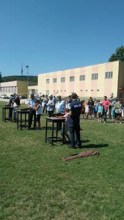 Стадион "Доростол"
