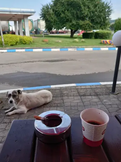 Бензиностанция "Път Консулт"