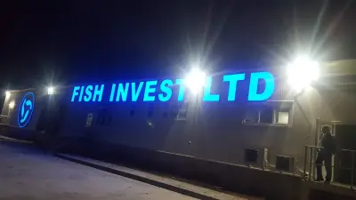 Фиш Инвест