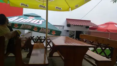 Елит
