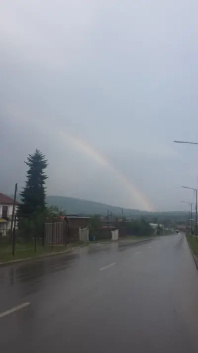 Кошарник