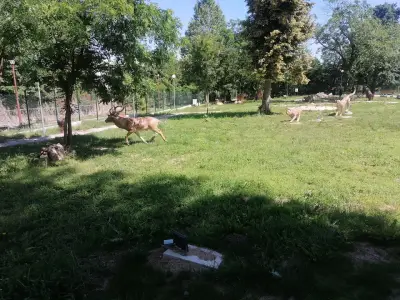 Палеопарк Вършец
