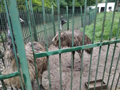 Парк Стратеш