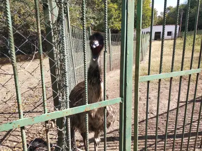 Парк Стратеш