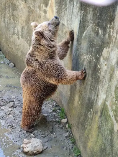 Парк Стратеш
