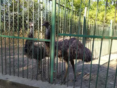 Парк Стратеш