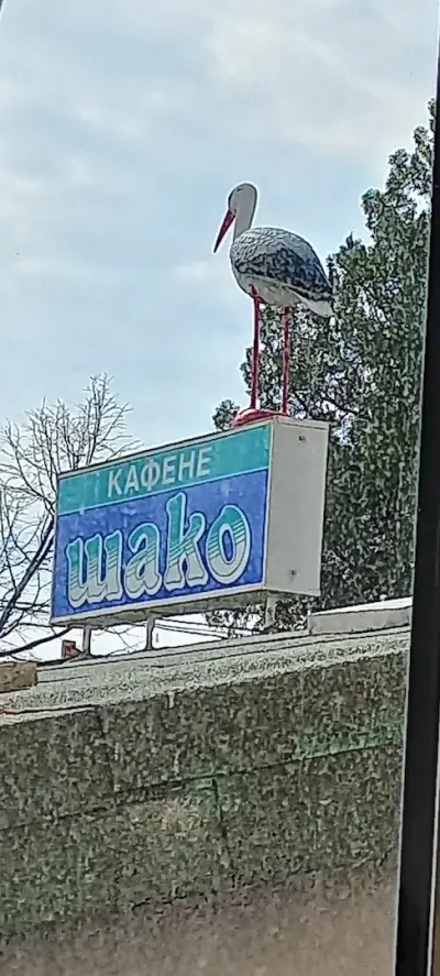 Kafe Shako