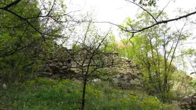 Бузова крепост