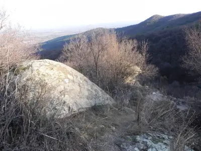 Бузова крепост