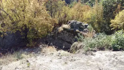 Бузова крепост