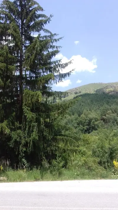 МЕСАРСКИ ЦЕНТЪР 2