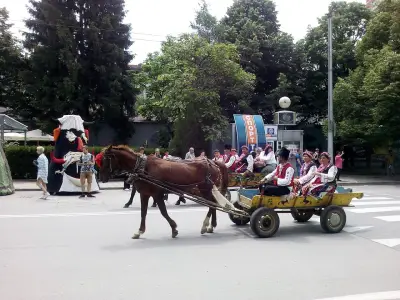 МЕСАРСКИ ЦЕНТЪР 2