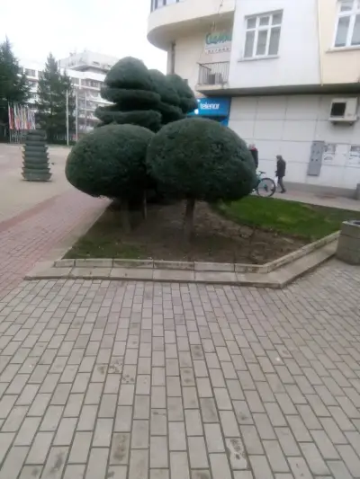 Универсален магазин