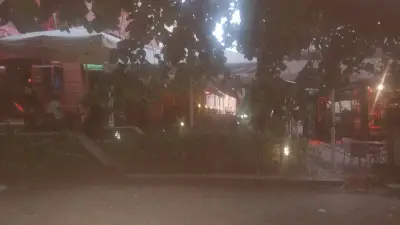 Зелено