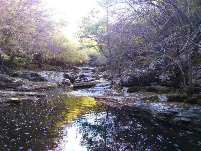 Дряновски водопад