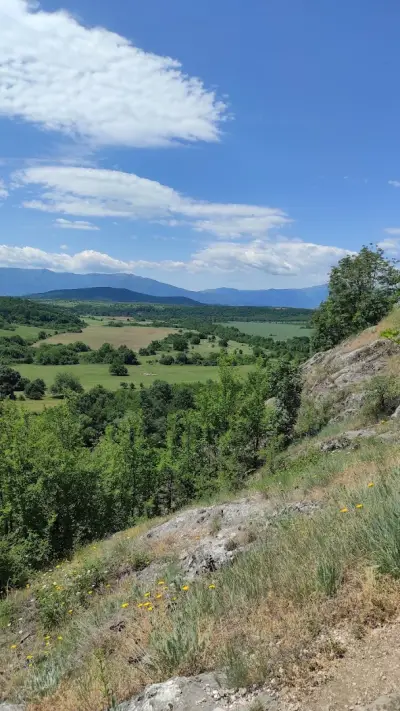 Пещерата с дървото