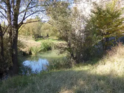 Скален лабиринт "Пешкето"