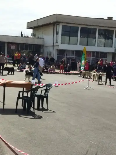 Кметство Локорско