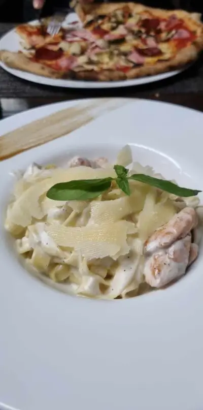 Механа "Нашенци", Враца