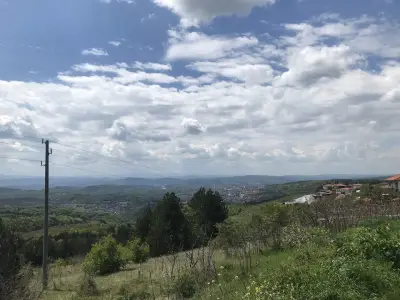 Viewpoint
