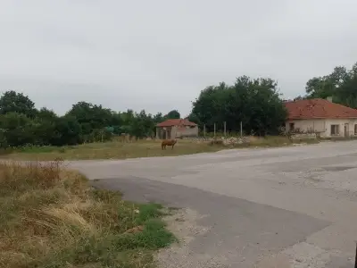 Кметство Конуш