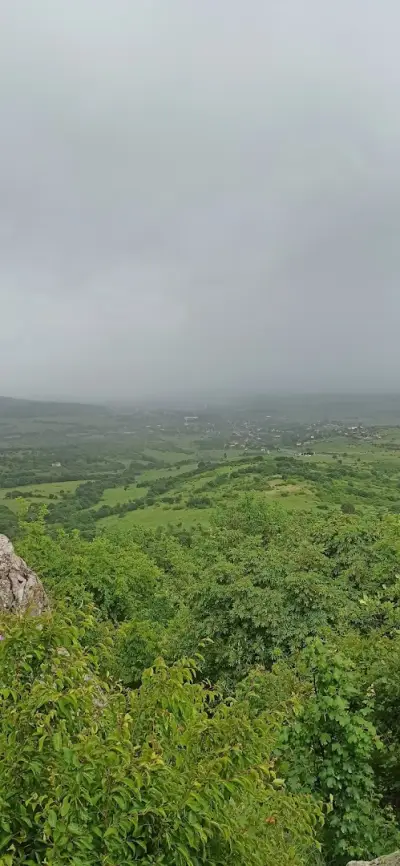 Шарапани