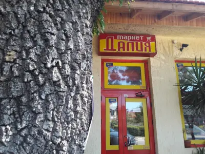 Supermarket "Далия"