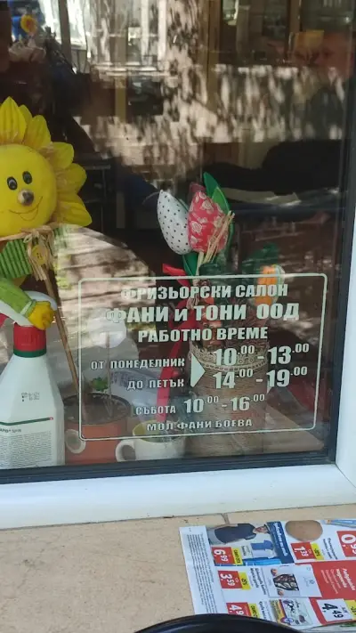 Фани и Тони