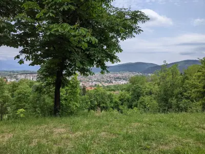 Парк Войниковец