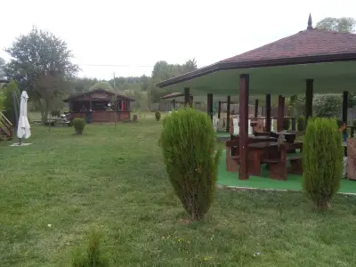 Гризли CBA