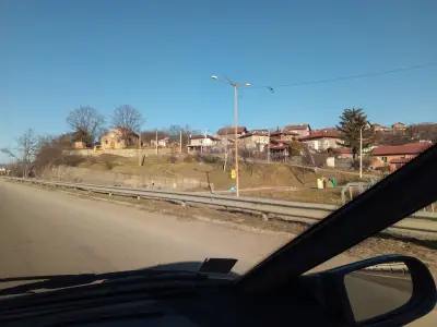 Гризли