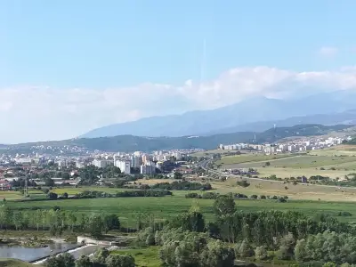 Света Неделя