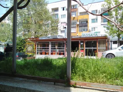Лозата
