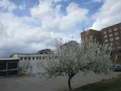 Стопански факултет, ЮЗУ Неофит Рилски, Благоевград