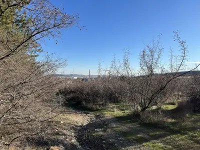 Парк