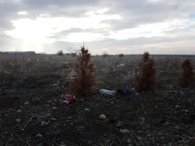 "'Пазар за плодове,зеленчуци и цветя"АД