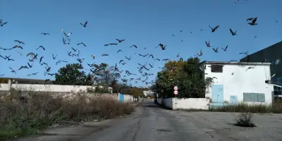 Метан станция