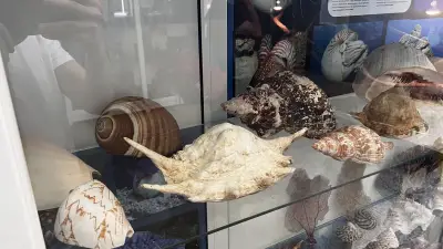 Варненски аквариум