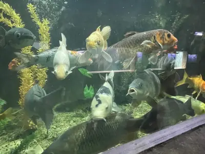 Варненски аквариум
