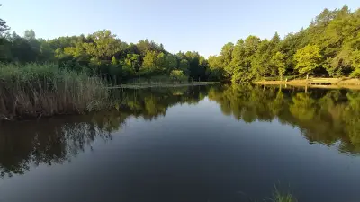 Липник