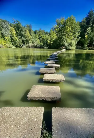 Липник