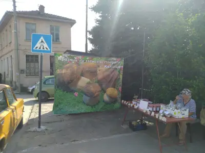 Кметство Калейца