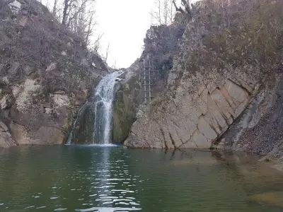 Кметство Калейца