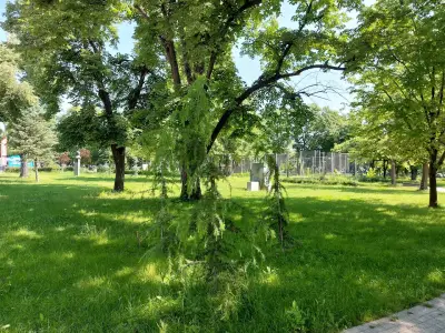 Станционна градина