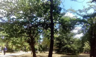 Парк „Йордан Капсамунов“