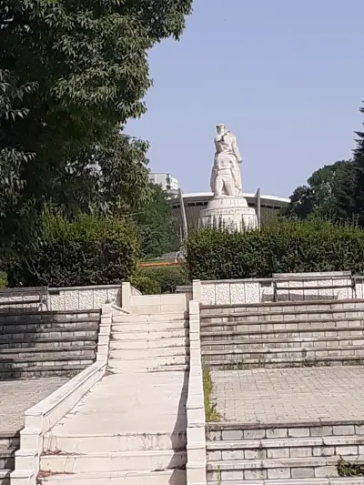 Кривото дърво