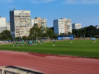 Стадион Младост