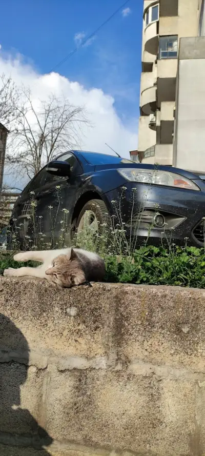 Бърза закуска Пепи