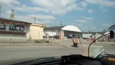 Зеленчукова борса