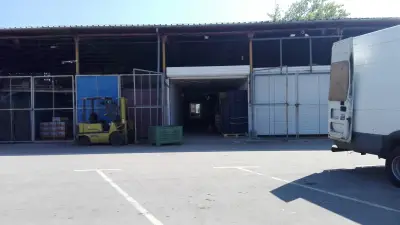 Зеленчукова борса
